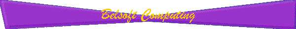 Belsoft Computing